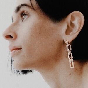 Eddie Borgo Supra Link Drop Earrings NWT